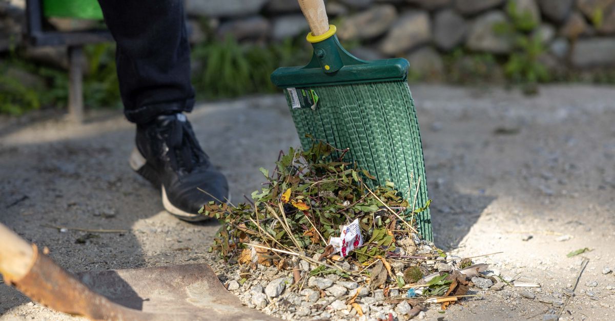 Person raking leaves and clearing yard debris