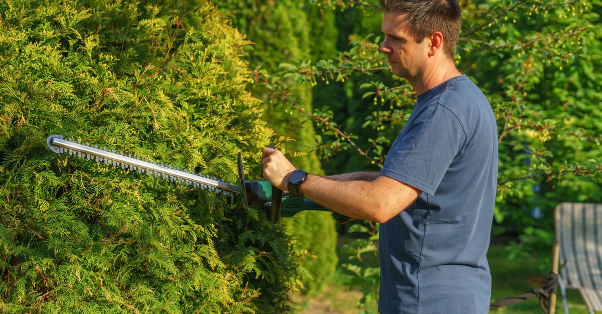Man trimming a hedge with an electric trimmer in a garden